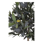 Olive Tree - Green, PE Plastic/Polyester, 43x47x120 cm by EMIRELLE