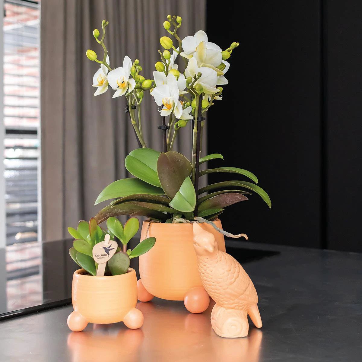 Hummingbird Home | Rollender Pfirsich-Blumentopf – pfirsichfarbener dekorativer Keramiktopf – Ø6 cm von Kolibri Company