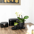 Kolibri Home | Plate oval - Ovale dienblad Ø30cm - Black by Kolibri Company