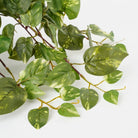 Artificial hanging plant Scindapsus hanging Green by Mica Decorations
