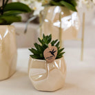Hummingbird Company | Set of plants + decorative pots for table decoration dinner - pot size Ø9cm & Ø6cm | flowering houseplants - fresh from the grower by Kolibri Company