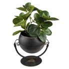 Pflanzenhalter 25x18x25 cm von Clayre & Eef.