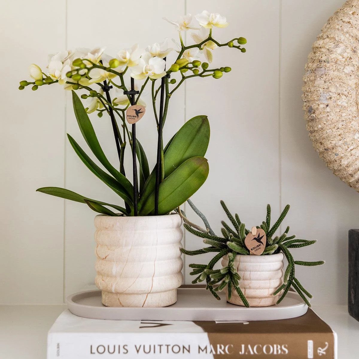 Kolibri Home | Combi deal - Marble Light potten by Kolibri Company