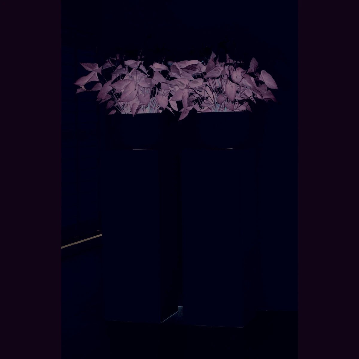 Column/planter - Pearl Shiny White by Vase The World