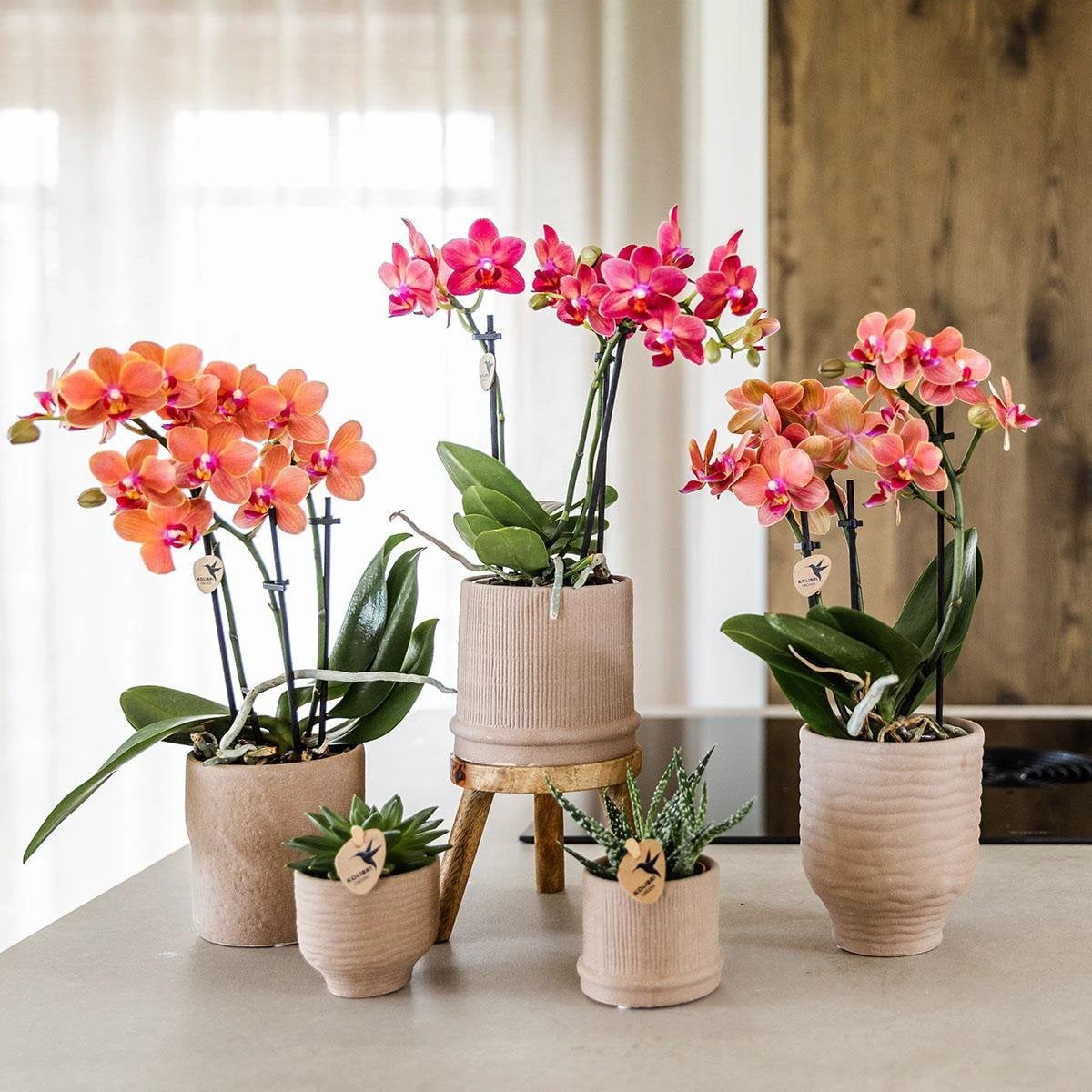 Kolibri Home | Bali sierpot - Sand - Ø9cm by Kolibri Company