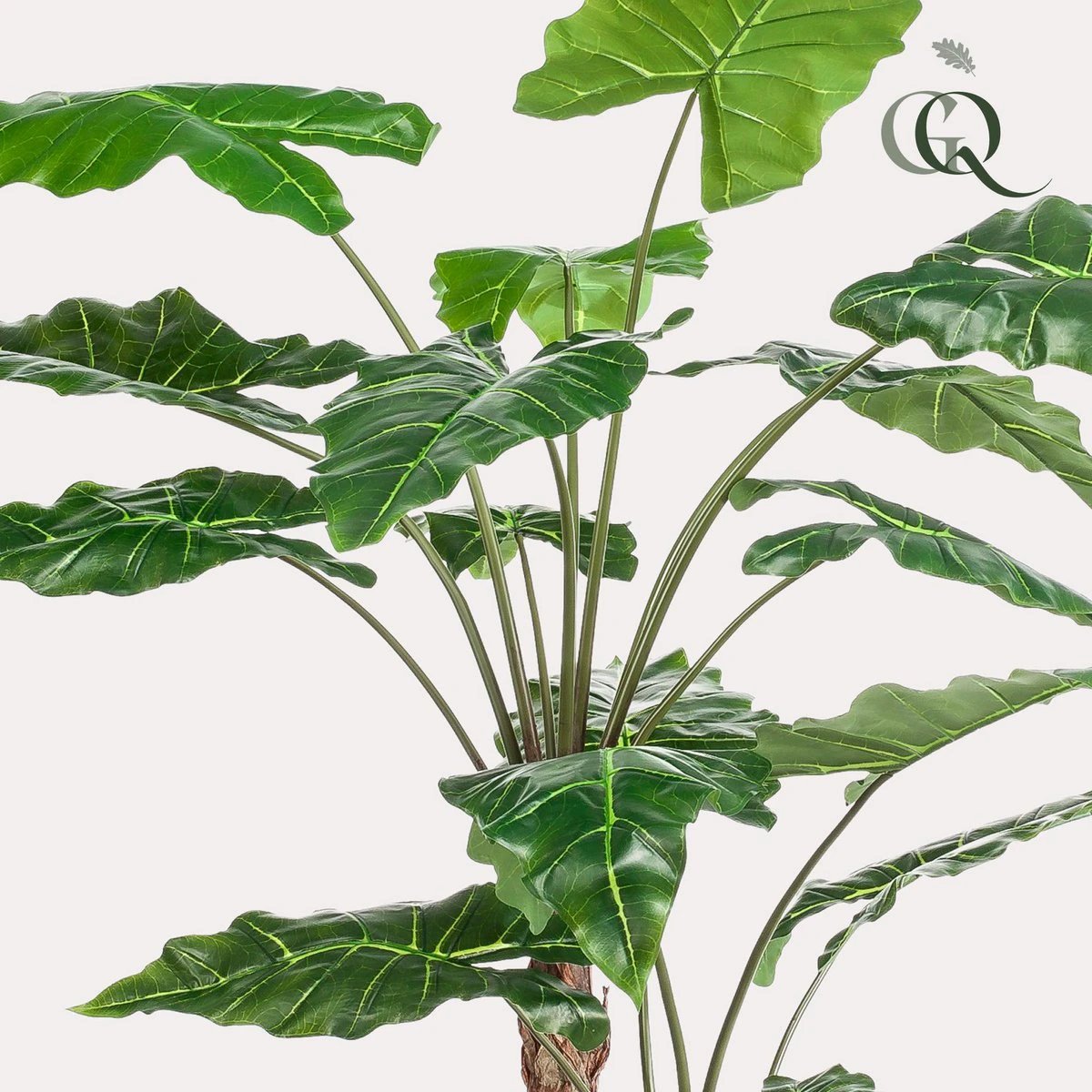 Art plant - Alocasia - Elephants ear - 180 cm by Green boutiQ