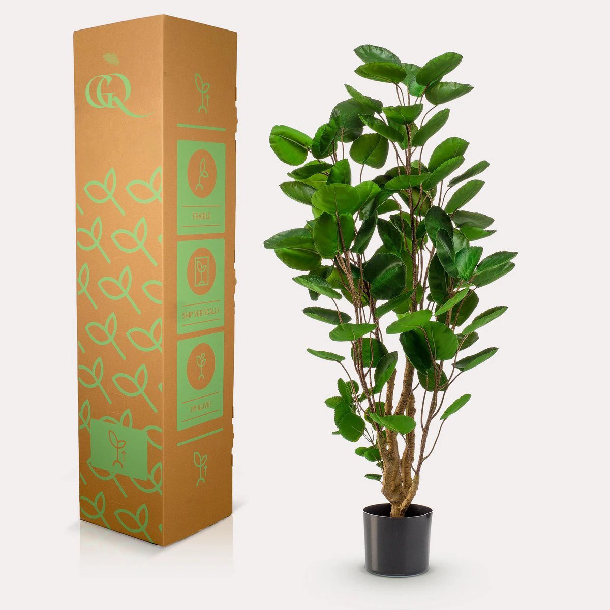 Kunstplant - Polyscias - Aralia - 105 cm by Green boutiQ