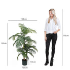 Artificial plant Areca palm Green by Mica Decorations