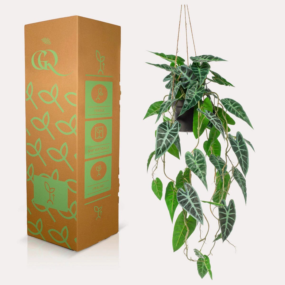 Kunstpflanze – Alocasia – Elefantenohr – 80 cm von Green boutiQ