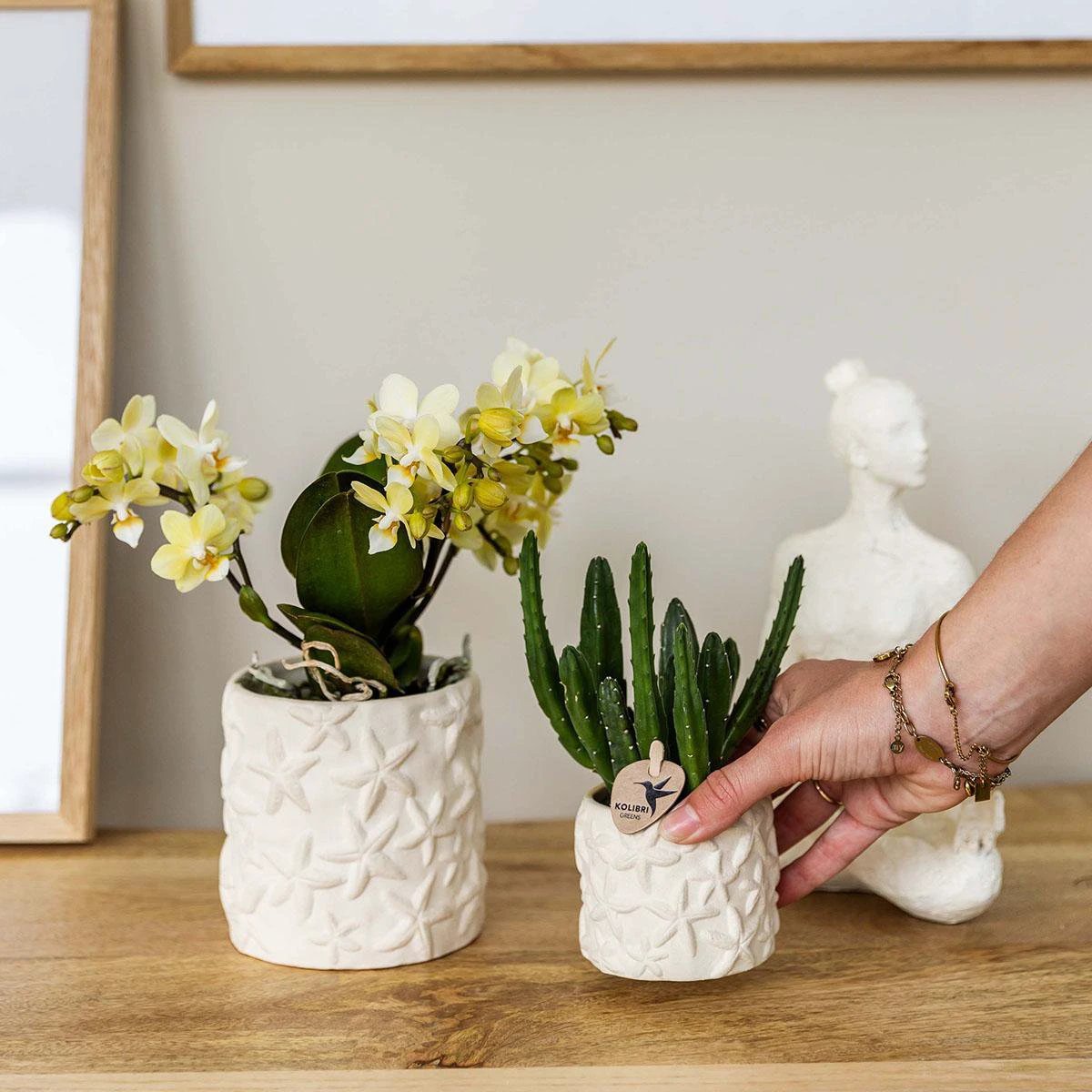 Kolibri Home | Star Fish sierpot - Off White - Ø6cm by Kolibri Company