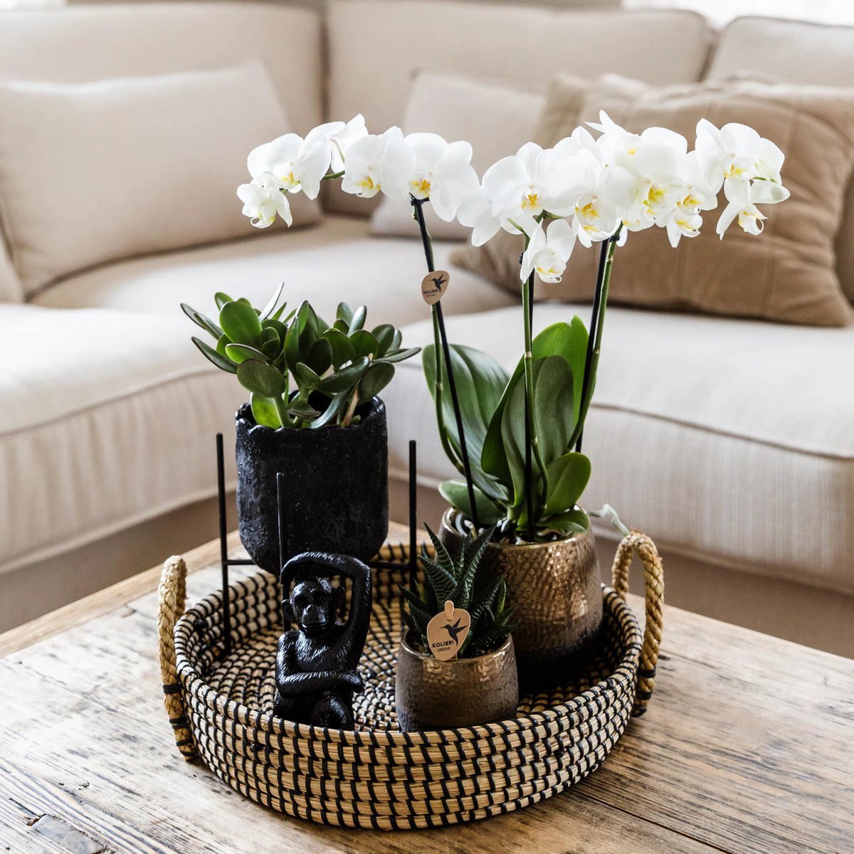Hummingbird Home | Plant stand - Black metal plant raiser Ø12cm by Kolibri Company