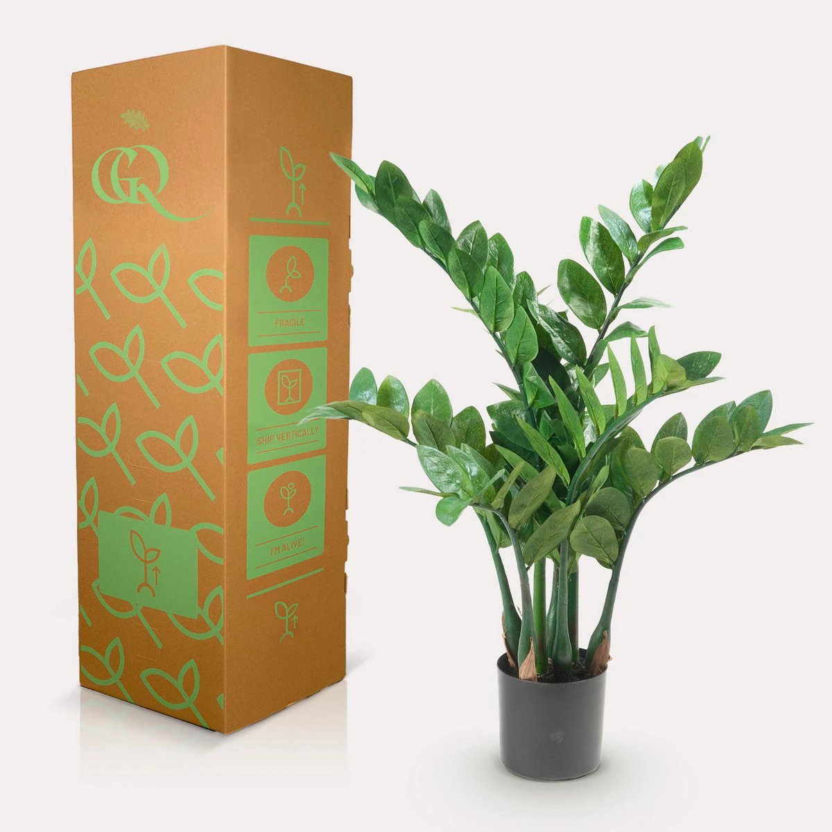 Artificial plant - Zamioculcas - City Palm - 70 cm by Green boutiQ