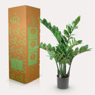 Artificial plant - Zamioculcas - City Palm - 70 cm by Green boutiQ