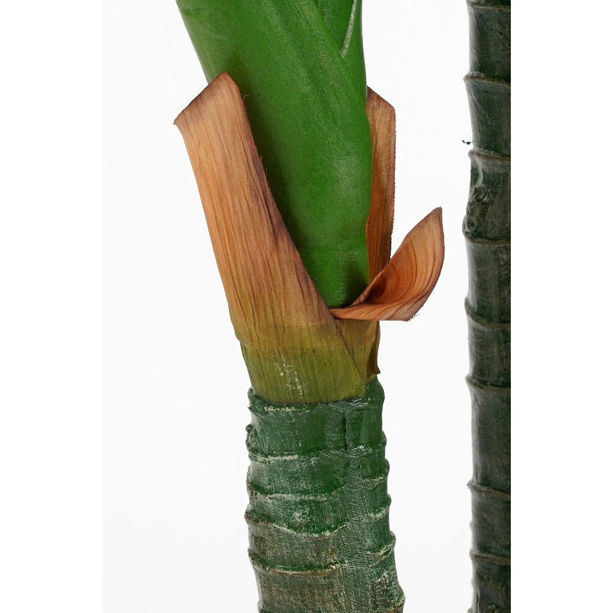 Artificial plant Dieffenbachia Green by Mica Decorations