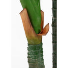 Artificial plant Dieffenbachia Green by Mica Decorations