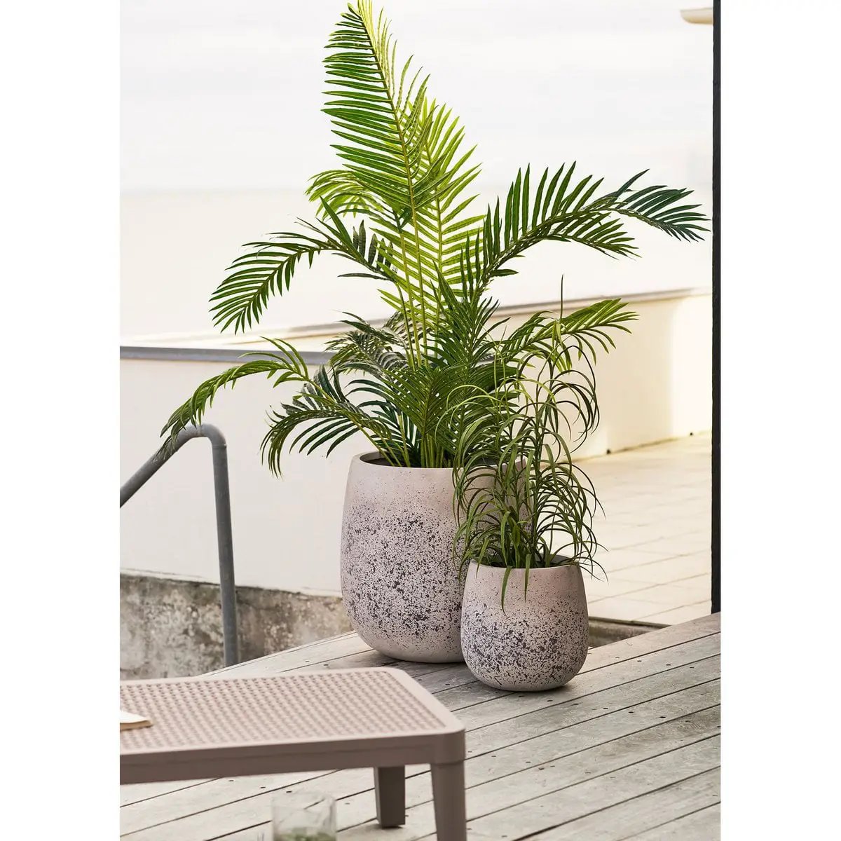 Grass Plant, green, H:68 cm by EMIRELLE