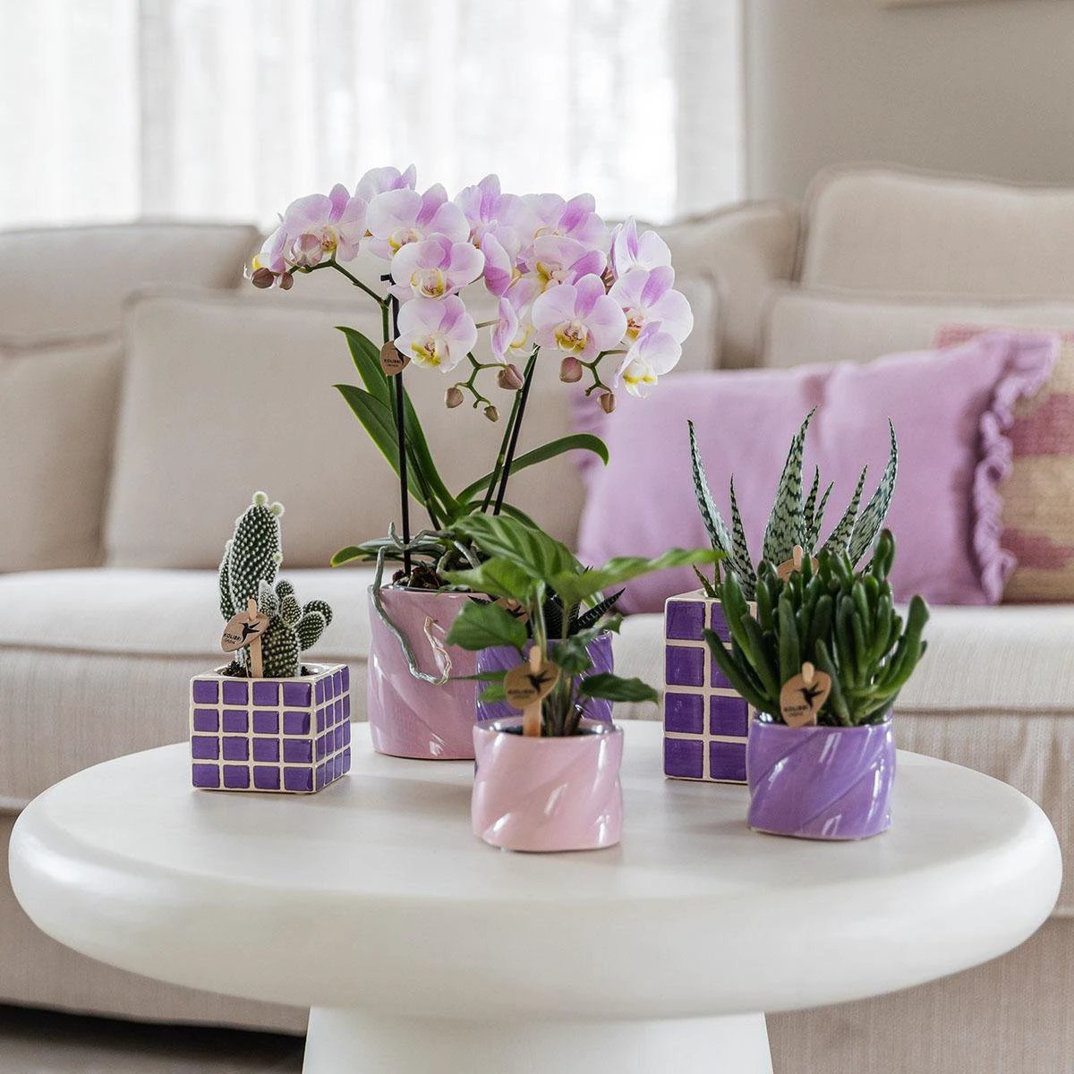 Kolibri Home | Candy sierpot - Pink - Ø6cm by Kolibri Company