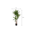 Artificial plant Dracaena Green by Mica Decorations