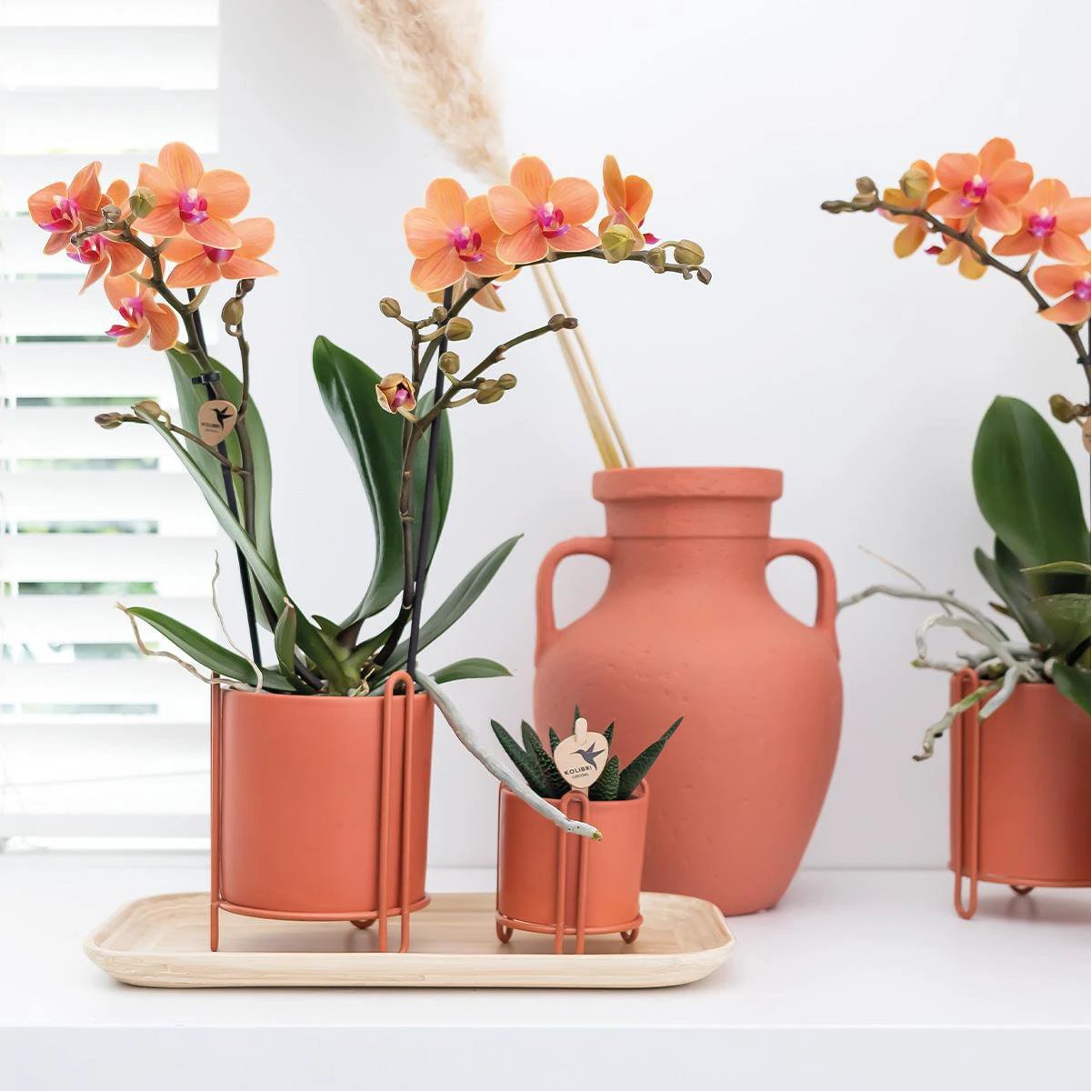 Hummingbird Home | Bamboo oval tray by Kolibri Company