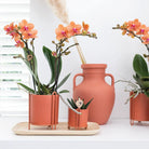 Hummingbird Home | Bamboo oval tray by Kolibri Company