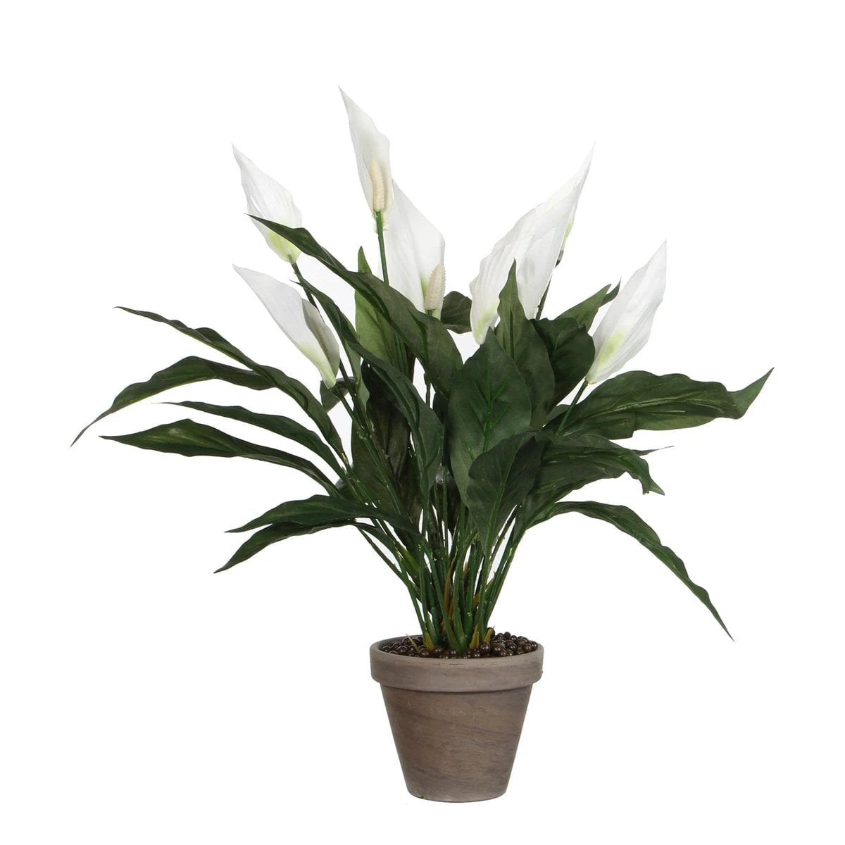 Artificial plant Spathiphyllum White by Mica Decorations