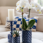 Kolibri Orchids | Set van witte orchidee Amabilis en succulent in Candy sierpotten blauw - potmaat Ø9cm & Ø6cm | bloeiende kamerplant - vers van de kweker by Kolibri Company