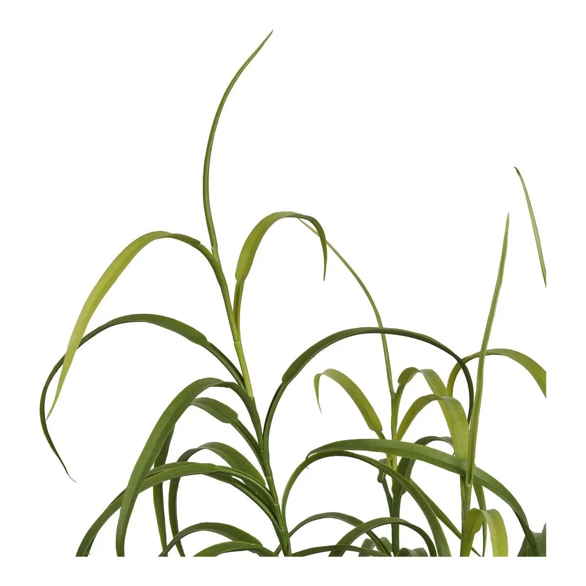 Grass Plant, green, H:68 cm by EMIRELLE