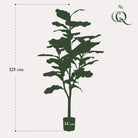 Artificial plant - Ficus Lyrata - Tobacco plant - 120 cm by Green boutiQ