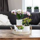Hummingbird Home | Decorative bowl - White woven tray Ø30cm by Kolibri Company