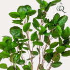 Kunstplant - Polyscias - Aralia - 150 cm by Green boutiQ