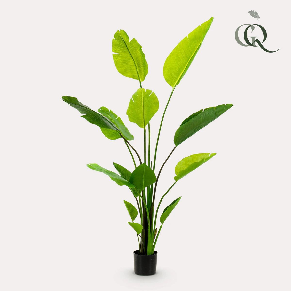 Art plant - Strelitzia Nicolai - Paradise bird flower - 150 cm by Green boutiQ
