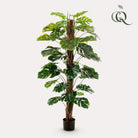 Monstera Deliciosa – Kunstpflanze – 150 cm von Green boutiQ