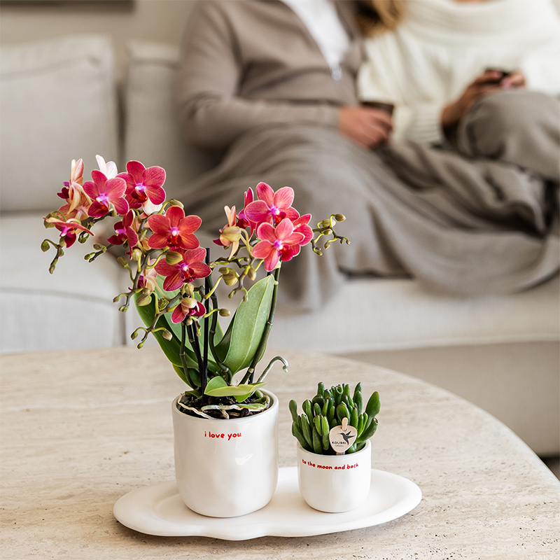 Kolibri Home | To the moon and back sierpot - Ø6cm by Kolibri Company