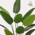 Kunstpflanze – Strelitzia Nicolai – Paradiesvogelblume – 190 cm von Green boutiQ