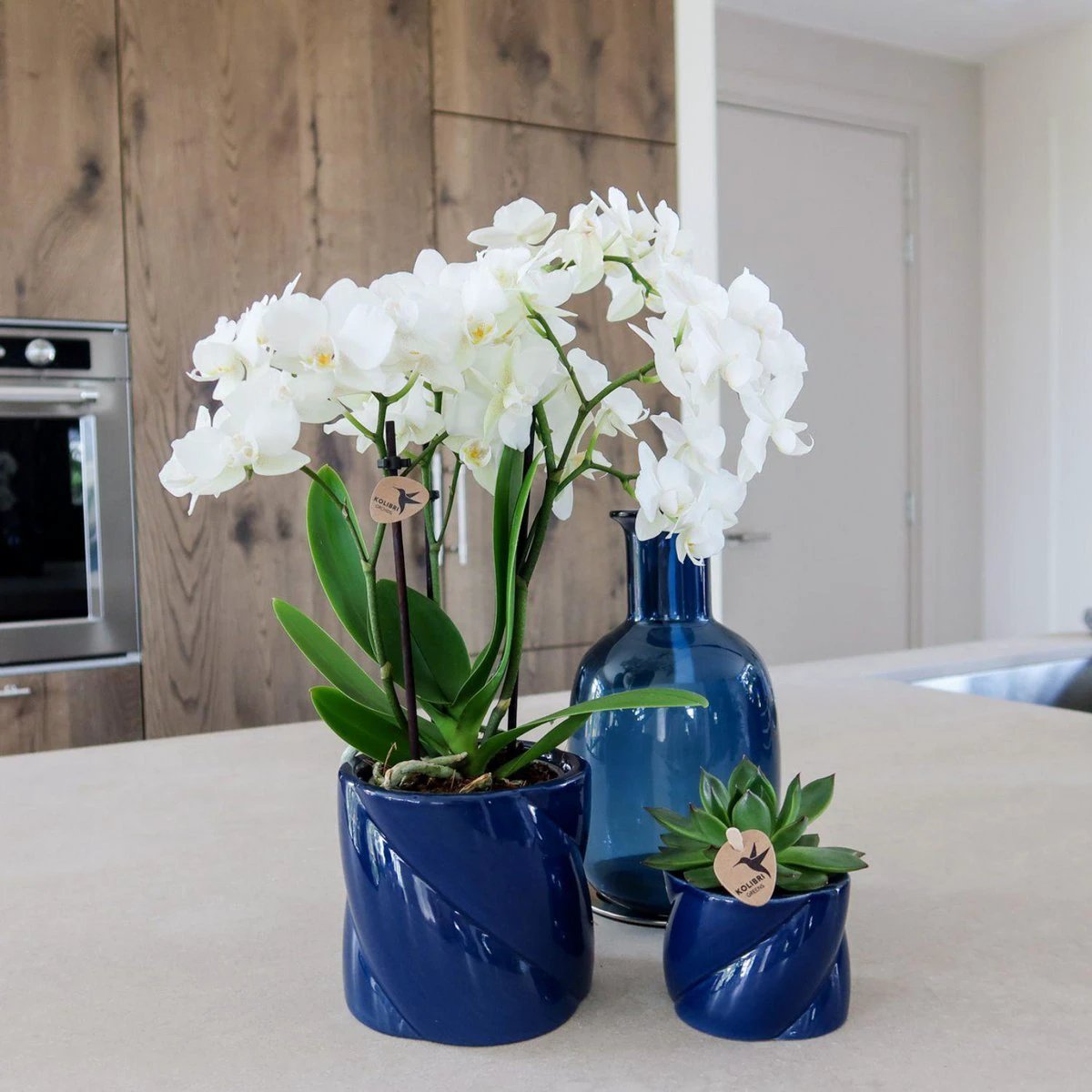 Kolibri Home | Candy sierpot - Blue - Ø9cm by Kolibri Company