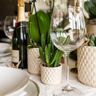 Hummingbird Company | Set of plants + decorative pots for table decoration dinner - pot size Ø9cm & Ø6cm | flowering houseplants - fresh from the grower by Kolibri Company