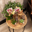 Hummingbird Home | Glazed flower pot - Cognac ceramic decorative pot with gloss - Ø6cm by Kolibri Company