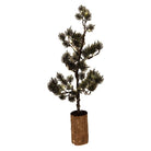 Mini Artificial Christmas Tree 23x23x60 cm / 3xAAA Green Wood by Clayre & Eef.
