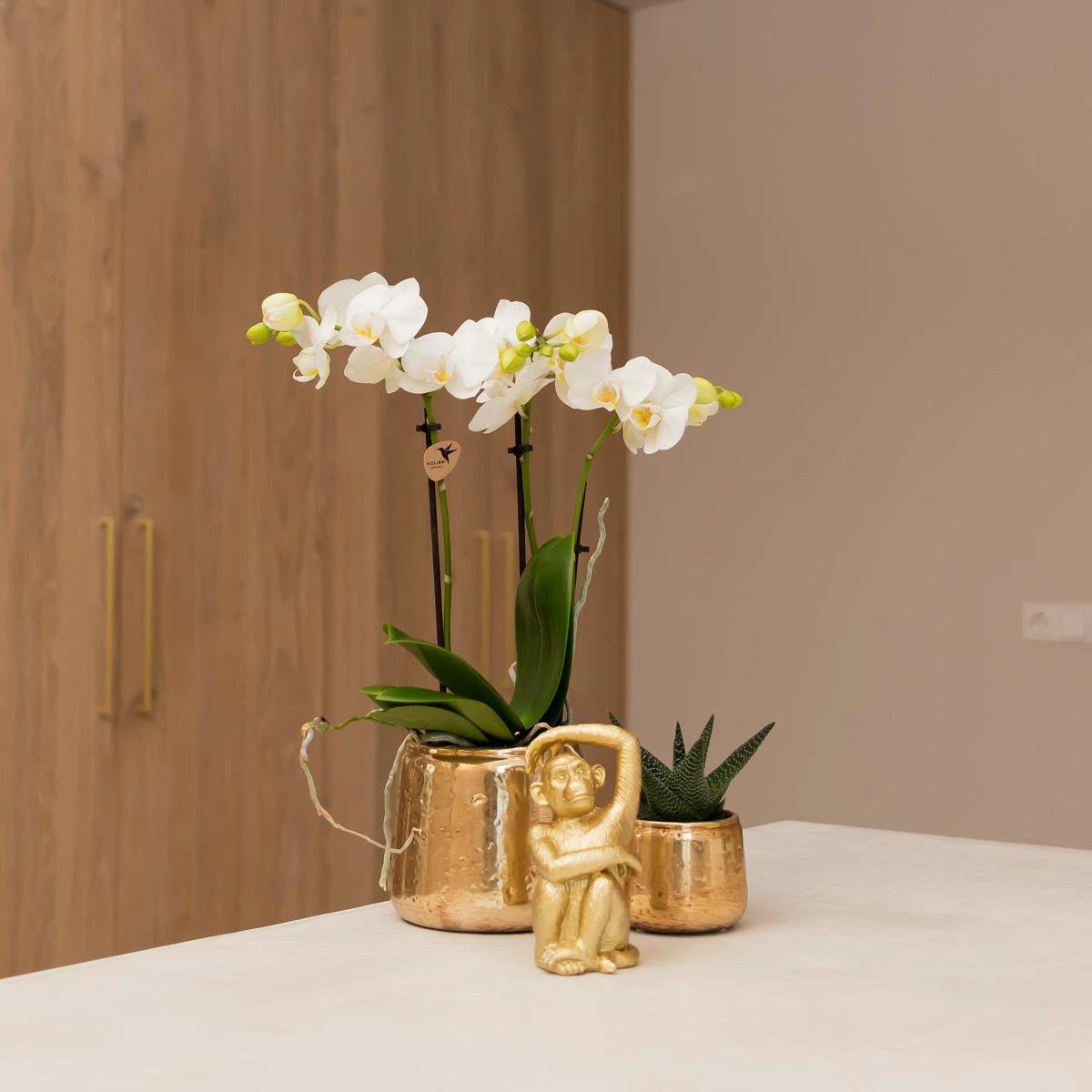 Hummingbird Home | Ornament - Decoration statue Sitting Monkey - Gold by Kolibri Company