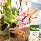 Pokon Powerspray orchidee 300 ml by Kolibri Company
