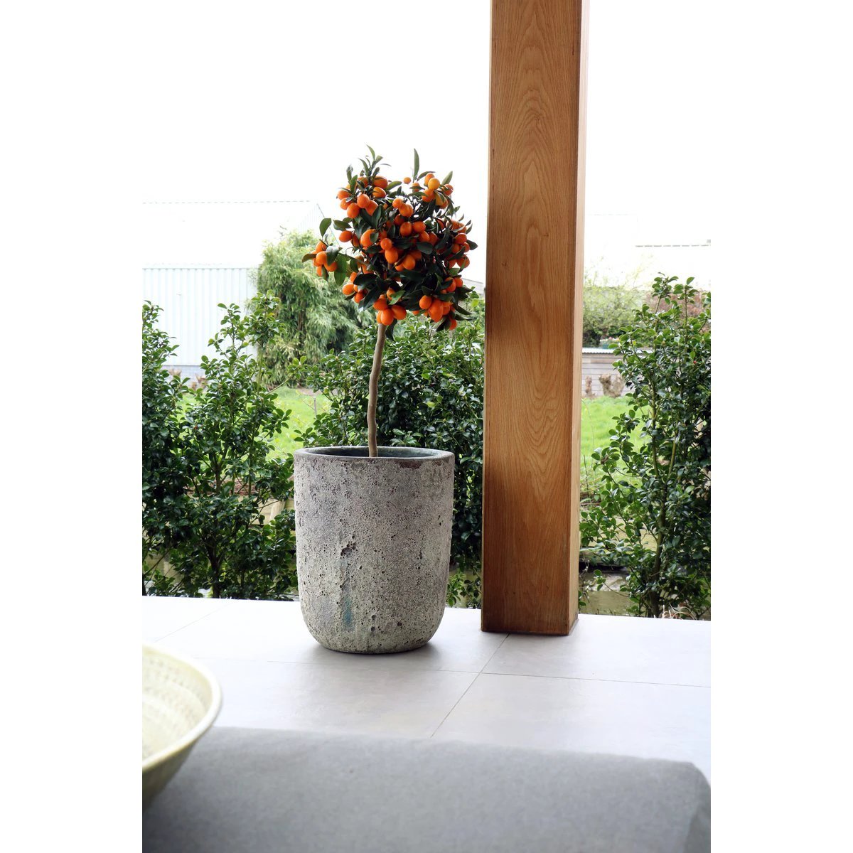 Plantenpot - Fuji oceanic coral set Ø36/26 x H45/35 cm (set van 2 stuks) by Vase The World