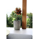 Plantenpot - Fuji oceanic coral set Ø36/26 x H45/35 cm (set van 2 stuks) by Vase The World