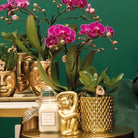Hummingbird Home | Metallic diamond flower pot - Golden ceramic decorative pot Ø9cm by Kolibri Company