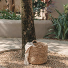 Laundry Basket | Plant Basket | Storage Basket BALAI made from Water Hyacinth (3 sizes) by Soeji
