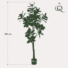 Artificial plant - Magnolia Grandiflora - 180 cm by Green boutiQ