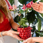 Hummingbird Home | Berry pot - Ø9cm by Kolibri Company