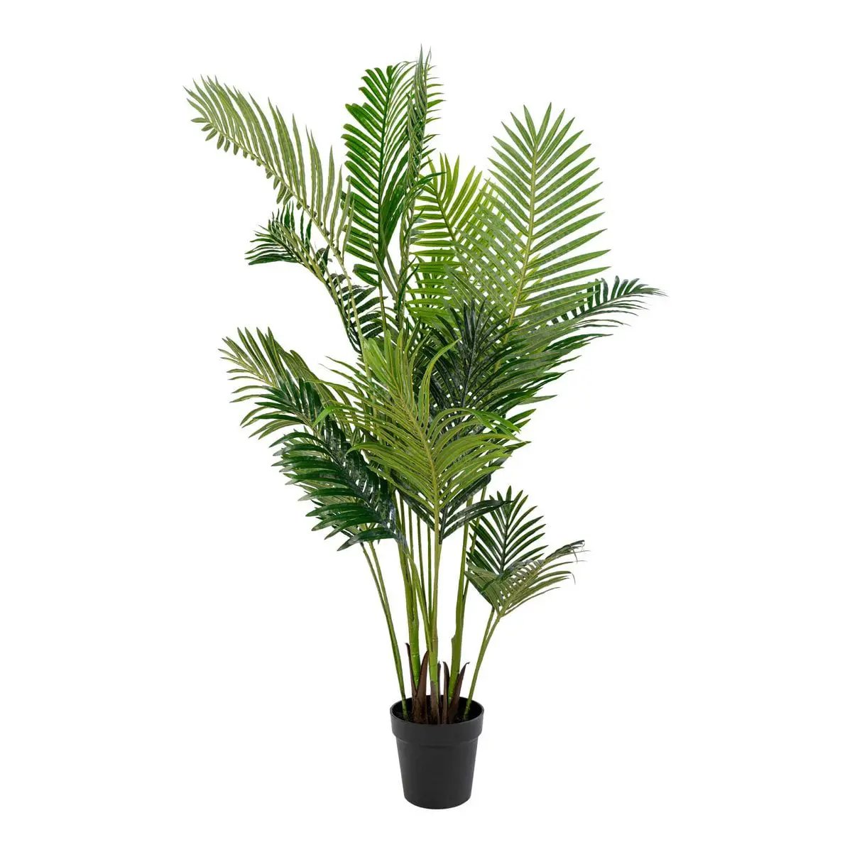 Areca Palm - Green, PE Plastic/Polyester, 64x64x175 cm by EMIRELLE