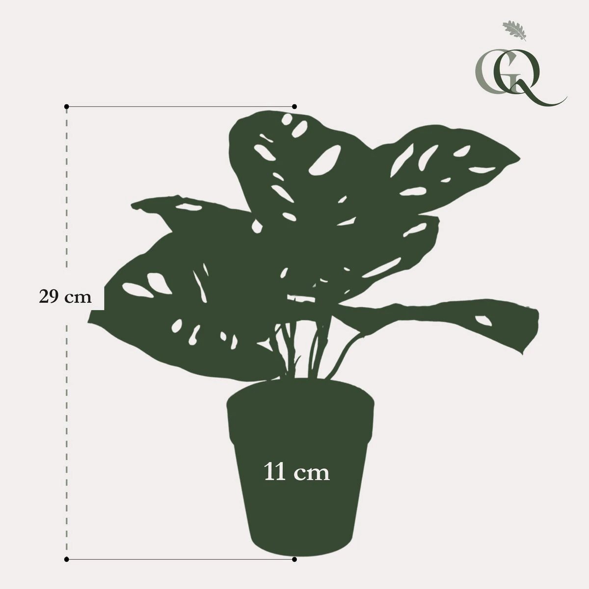 Artificial plants - Monstera Monkey - Hole plant - 29 cm by Green boutiQ