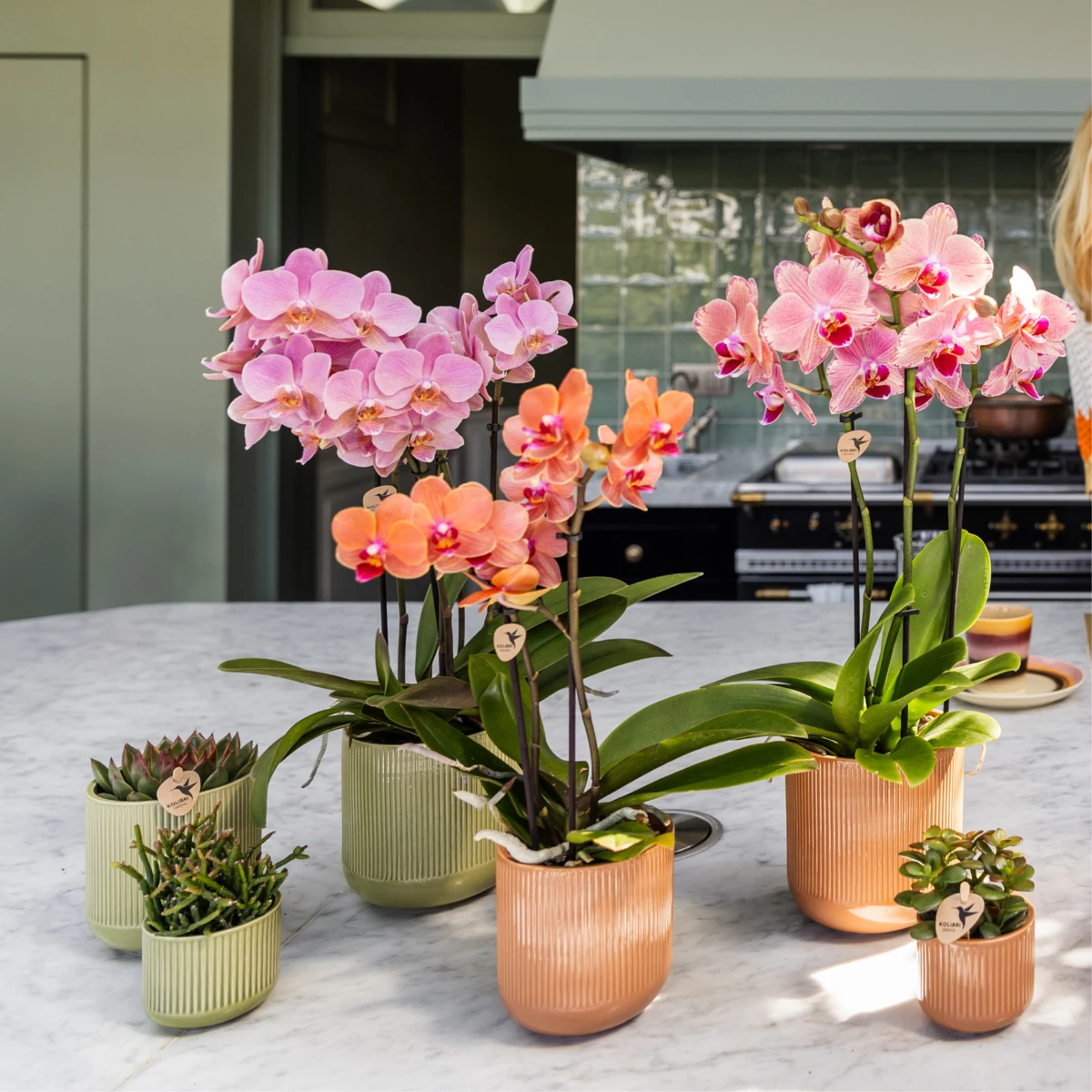 Kolibri Home | Flare sierpot - Green - Ø6cm by Kolibri Company