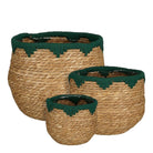 Plant basket set Jorck Dark brown by Mica Decorations